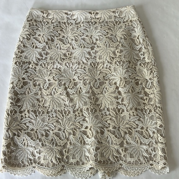 Lace Overlay Pencil Skirt from Ann Taylor - Picture 3 of 9